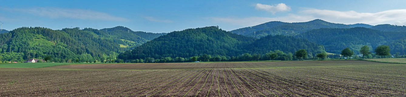Dreisamtal