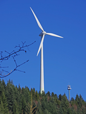 Rosskopf