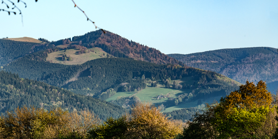 Hinterwaldkopf