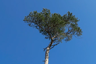 Kamelberg