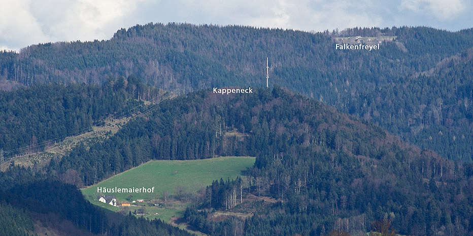 Kappeneck