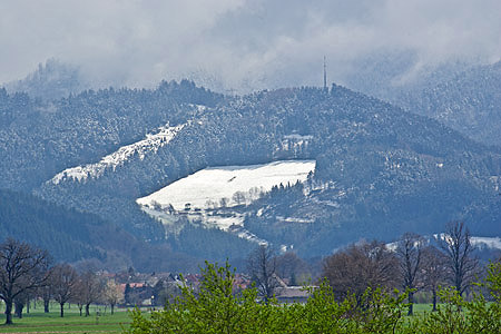 Kappeneck