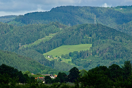 Kappeneck
