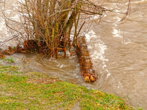 Hochwasser 2018