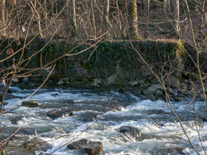 Dreisam