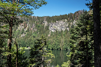 Feldsee