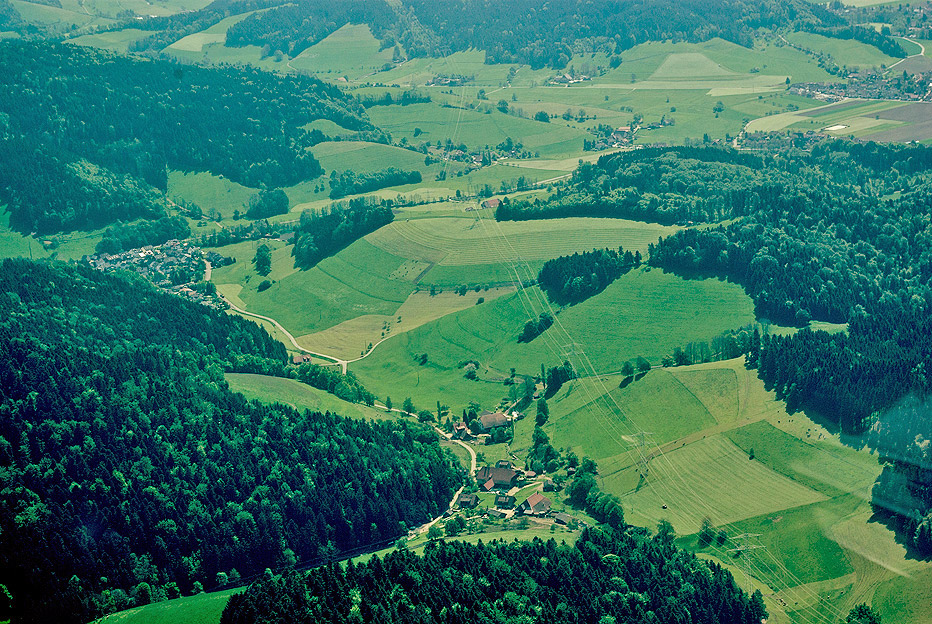 Steurental