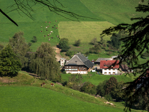 Steurental