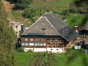 Steurental