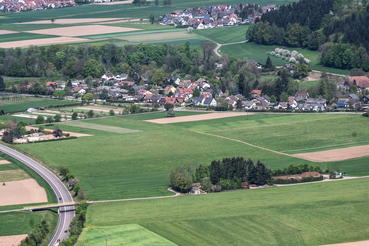 Burg am Wald