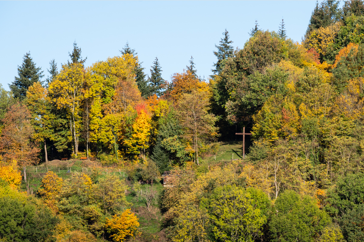 Galgenberg Ebnet