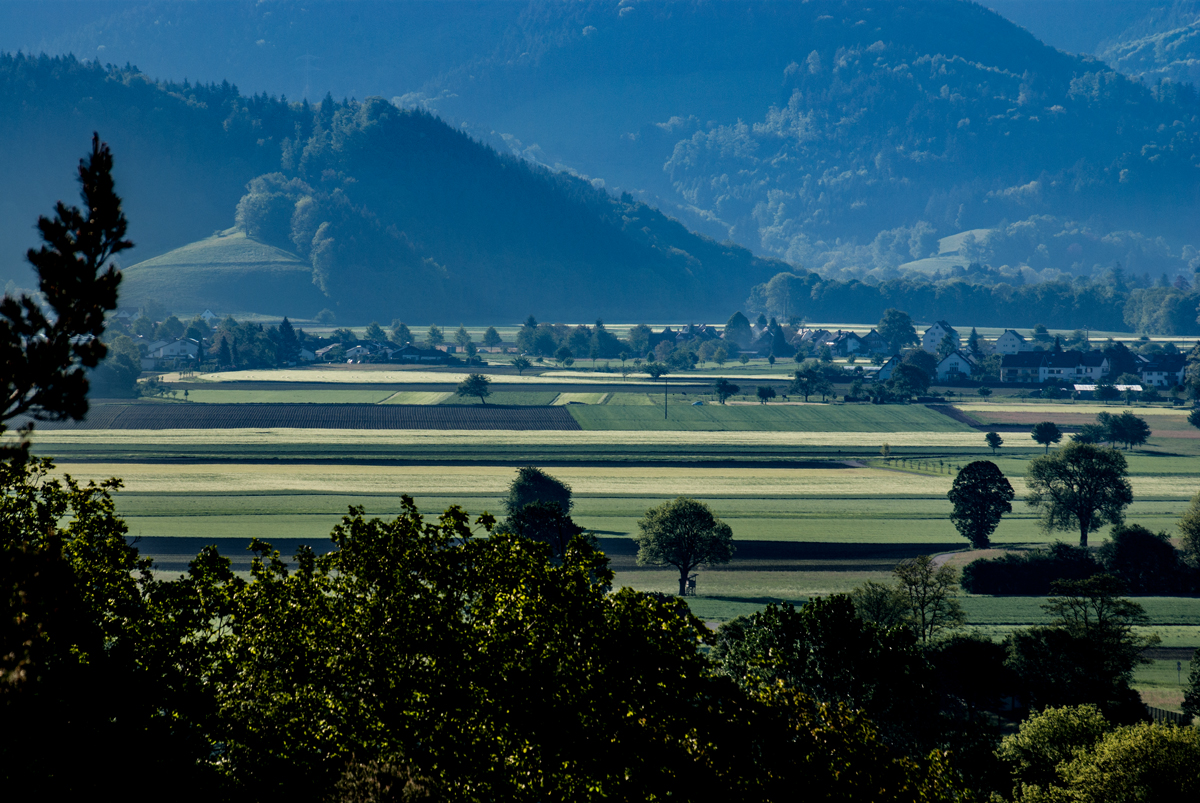 Galgenberg Ebnet