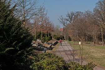 Waldsee