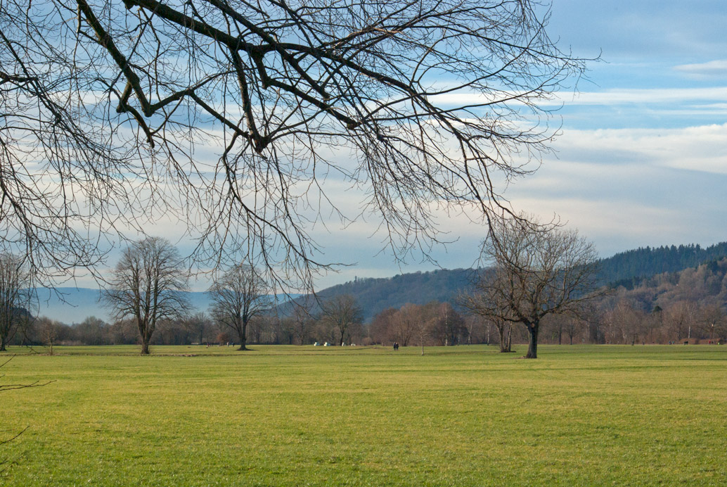 Rotmatten