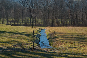 Zartner Becken