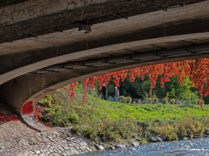 Ebneter Nepomukbrücke