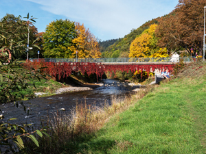 Ebneter Nepomukbrücke