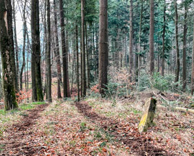 Grenzsteine