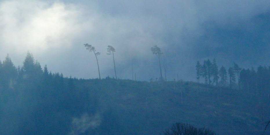 Kamelberg