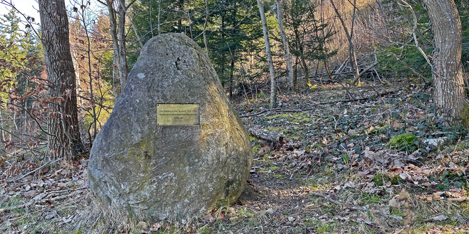 Karl-Heizmann