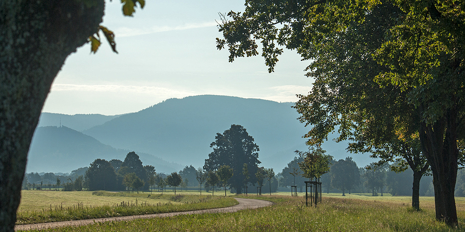 Wirtschaftsweg