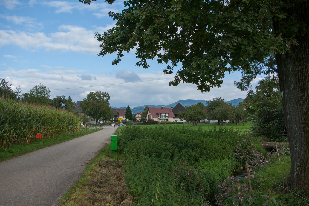 Wirtschaftsweg