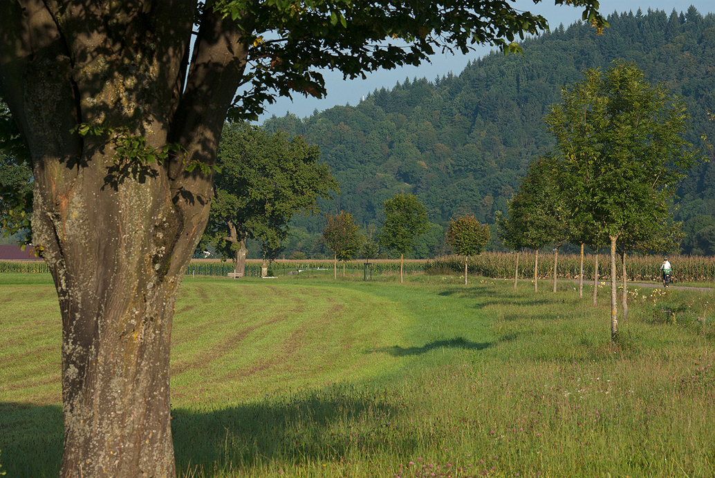 Wirtschaftsweg