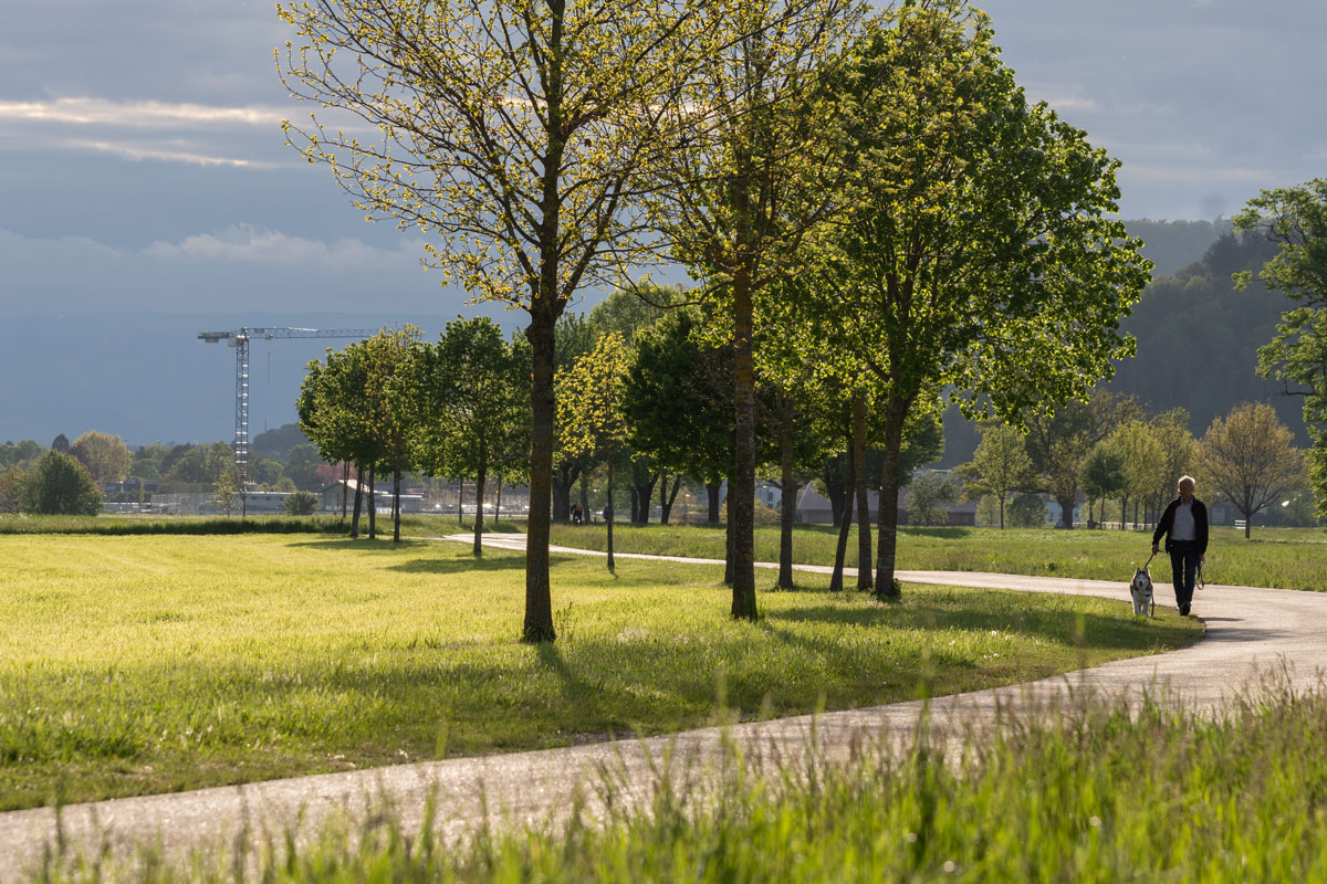 Wirtschaftsweg Ebnet-Zarten