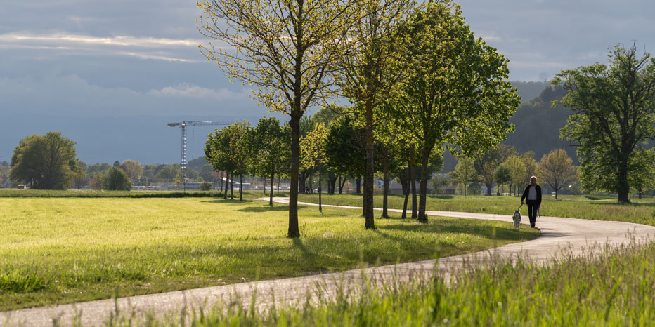 Wirtschaftsweg