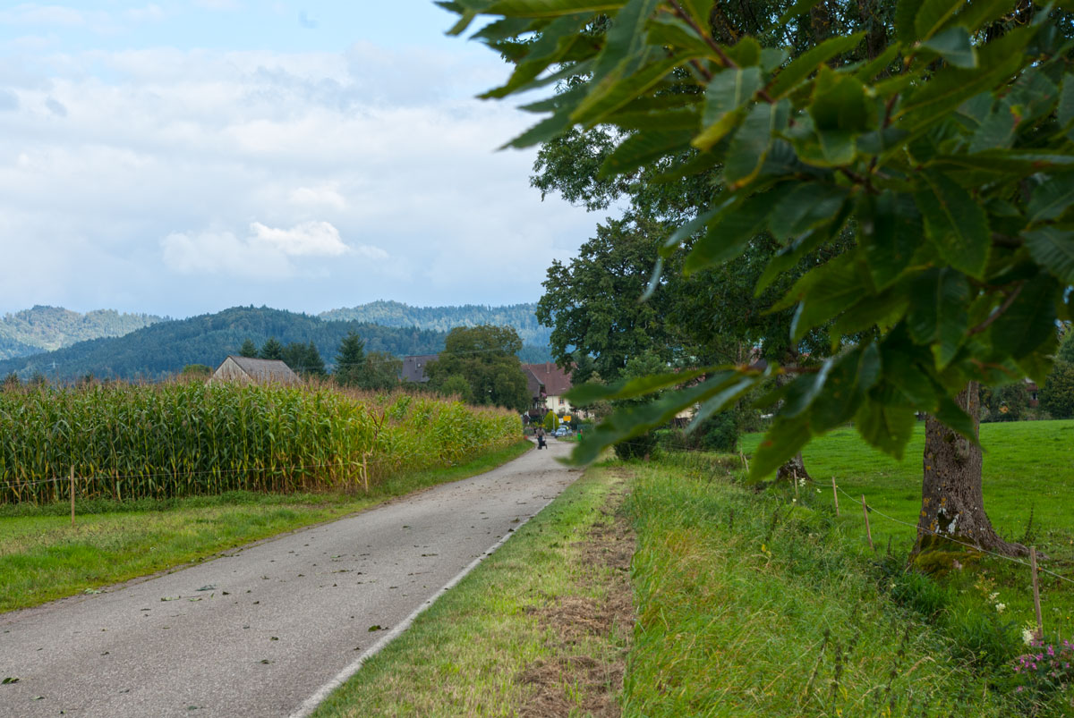 Wirtschaftsweg Ebnet-Zarten