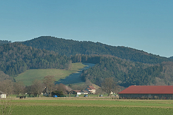 Wirtschaftsweg