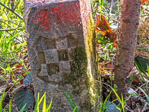 >Bergkamm der Grenzsteine