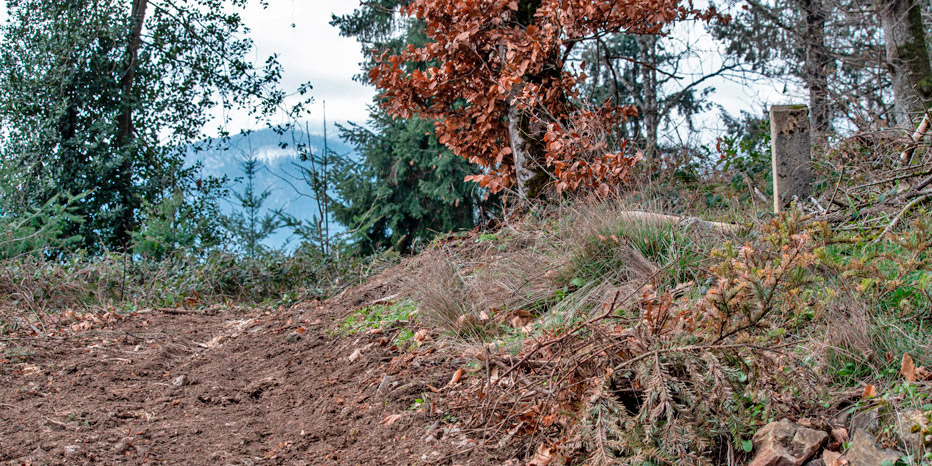 >Bergkamm der Grenzsteine