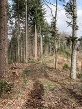 >Bergkamm der Grenzsteine