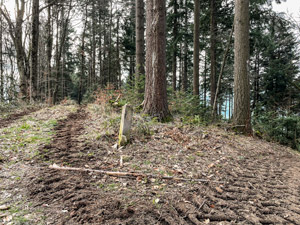 >Bergkamm der Grenzsteine