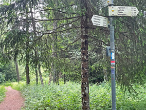 Hinterwaldkopf