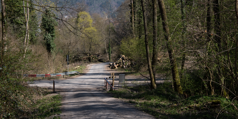 Hinterer Walddobel