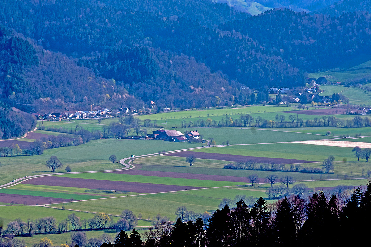 Wiedenbachweg