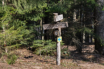 Wiedenbachweg