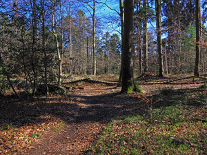Roßkopfsattel