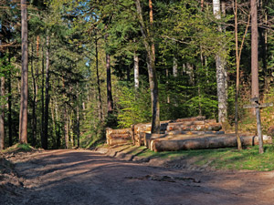 Schieblerweg