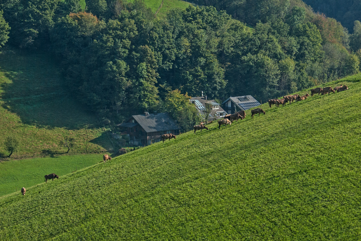 Stegen-Schlangenkapelle