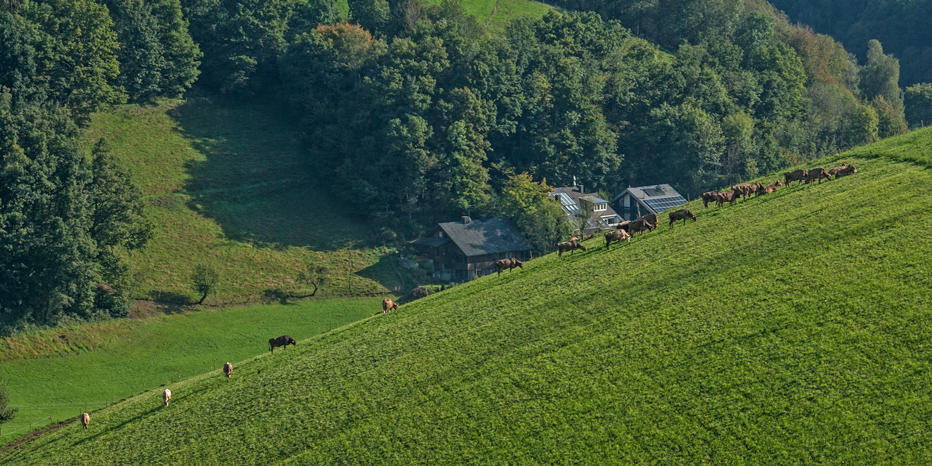 Stegen-Schlangenkapelle