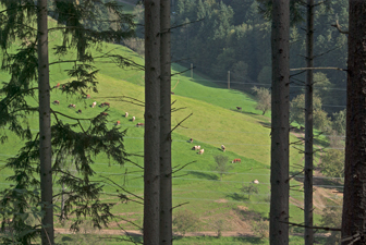 Stegen-Schlangenkapelle