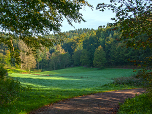 Stegen-Schlangenkapelle