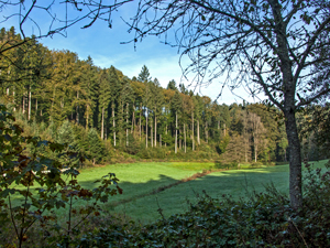 Stegen-Schlangenkapelle