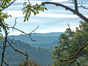 Stegen-Schlangenkapelle