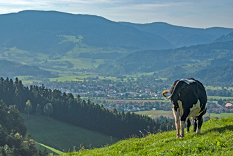 Stegen-Schlangenkapelle