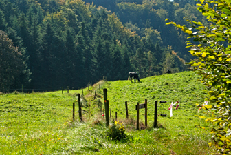 Stegen-Schlangenkapelle