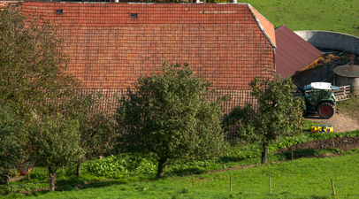 Stegen-Schlangenkapelle